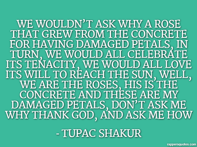 we wouldn’t ask why a rose that grew from the concrete for having damaged petals, in turn, we would all celebrate its tenacity, we would all love its will to reach the sun, well, we are the roses, his