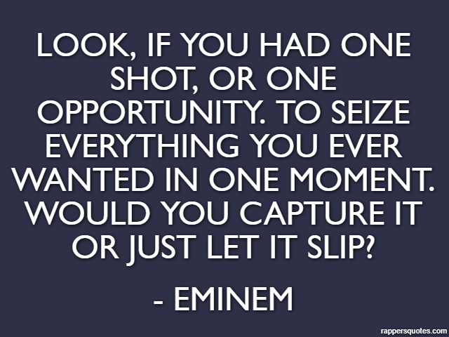 Look, if you had one shot, or one opportunity. To seize everything you ever wanted in one moment. Would you capture it or just let it slip? - Eminem