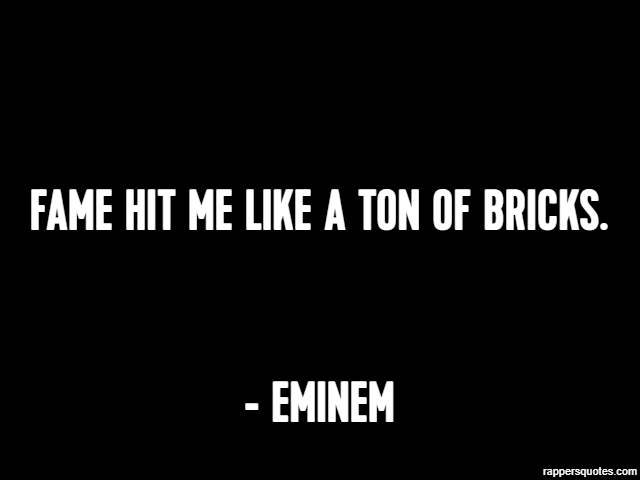 Fame hit me like a ton of bricks. - Eminem