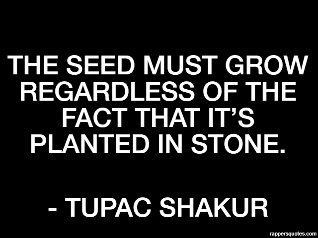 The seed must grow regardless of the fact that it’s planted in stone. - Tupac Shakur